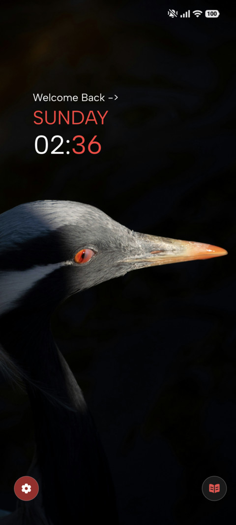 Red Eye Crane preview