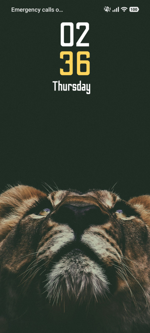 Lion Gaze preview