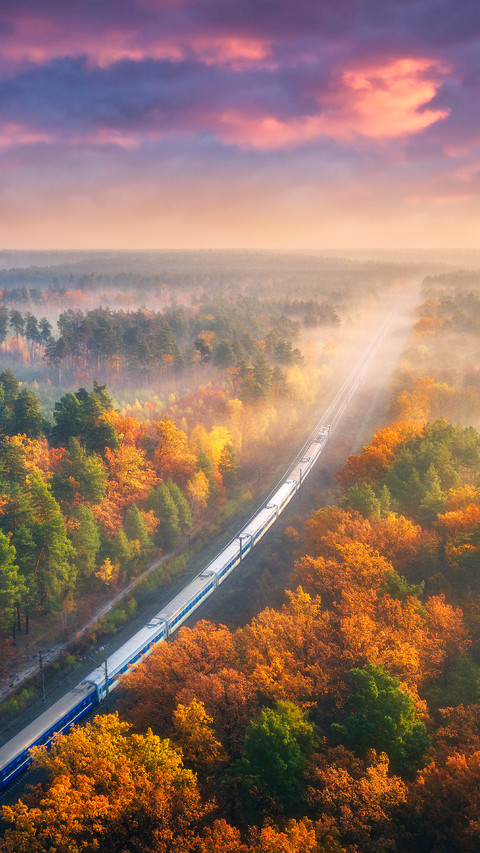 Passenger Train and Beautiful Forest in Fog At Sunset preview
