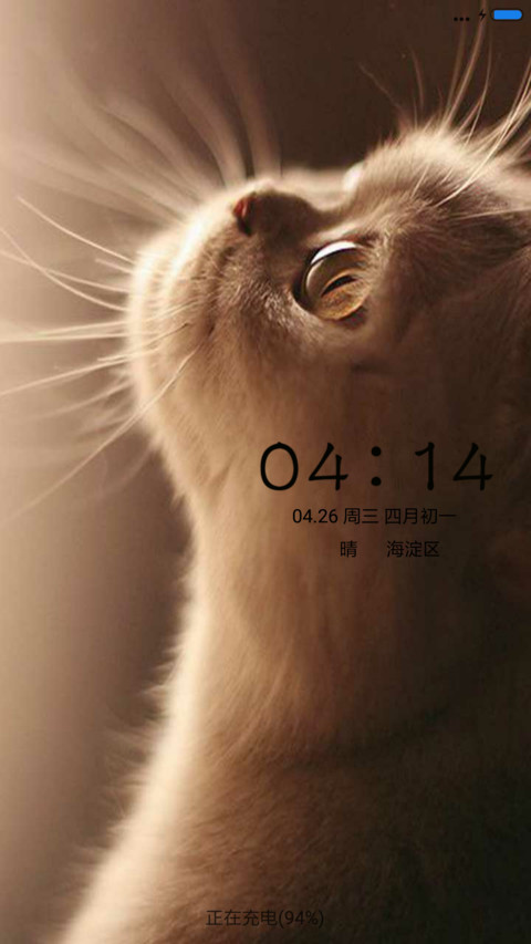 可爱小猫 preview