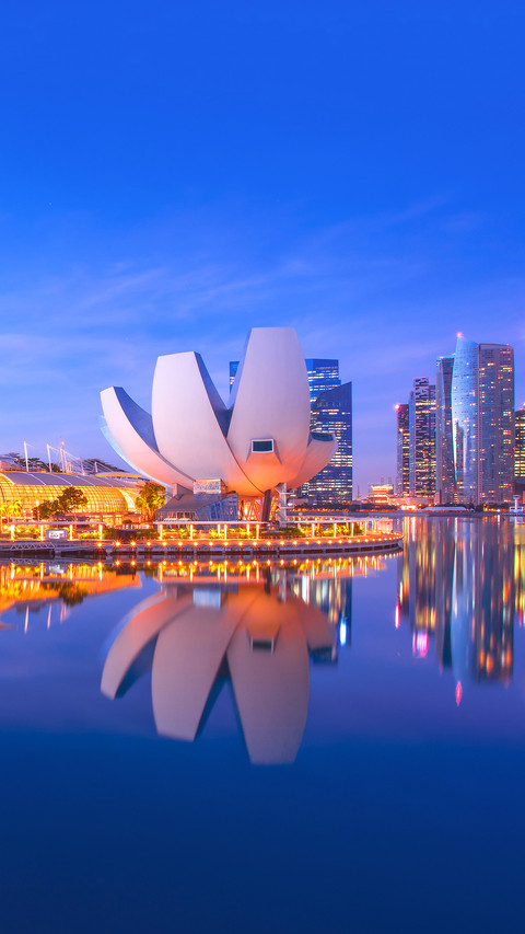 Singapore cityscape at dusk preview