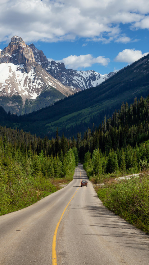 The Car is Driving on Road With Forests on Both Sides preview