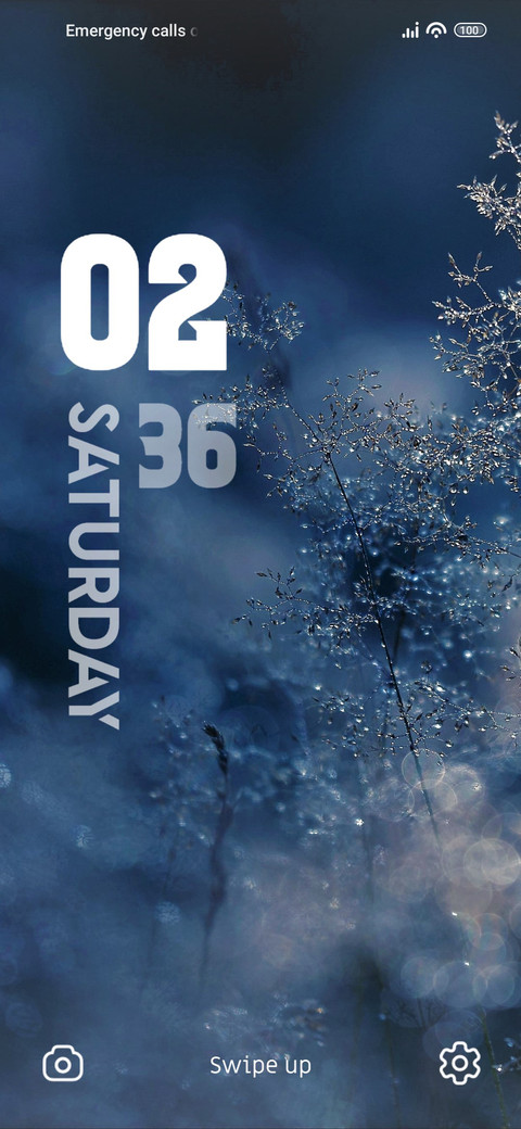 Snow Forest preview