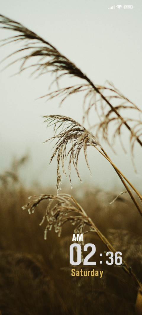 Grass & Fog preview