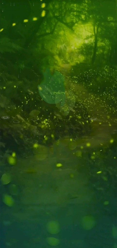 虫儿飞 preview