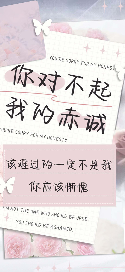 你对不起我的赤诚 preview
