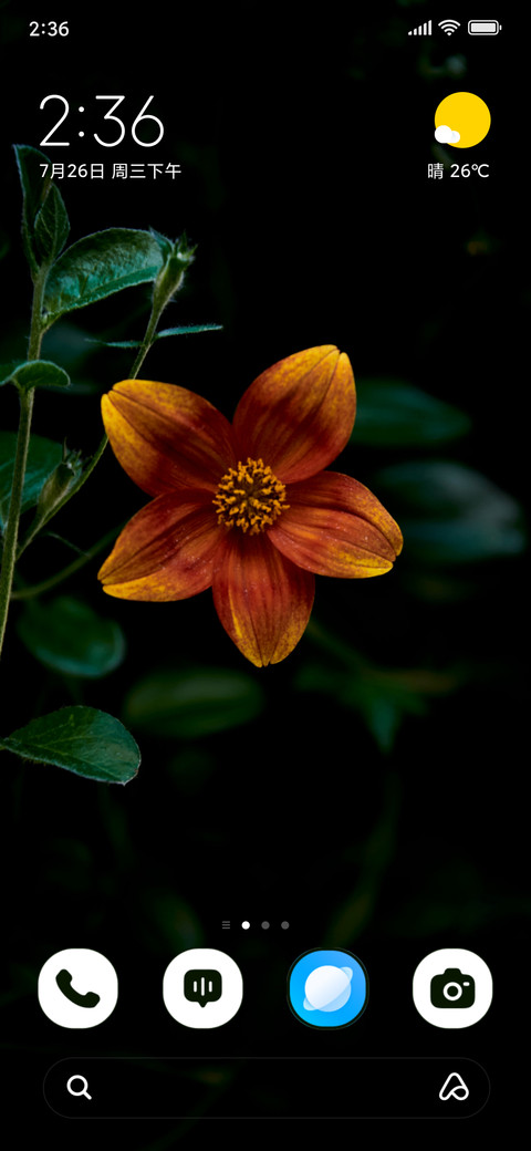 Amber Bloom preview