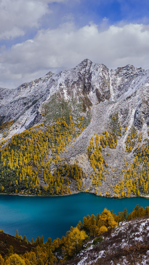 The golden autumn lake water of dangling preview