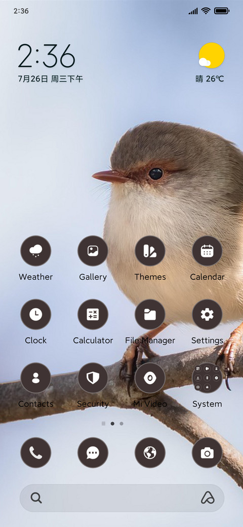 Soft Robin preview