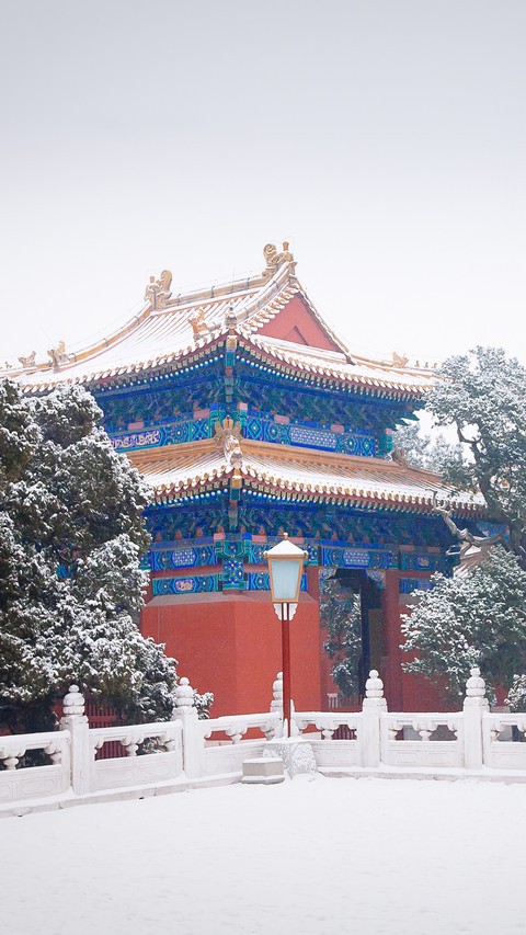 Winter Snowfield preview