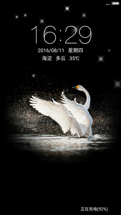 白天鹅 preview