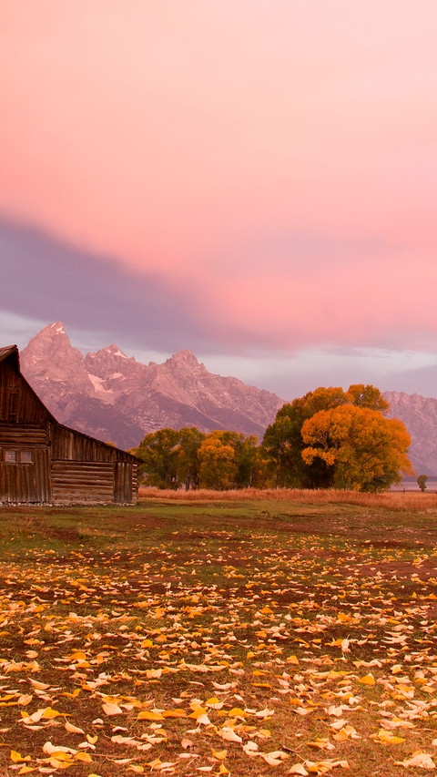 The autumn scenery of grand teton park preview