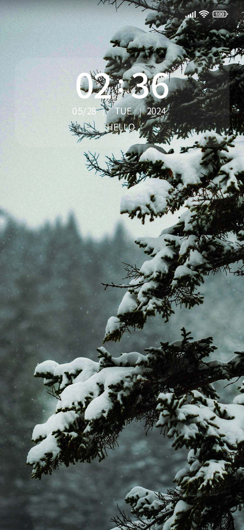 Winter scenery preview