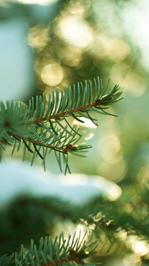 After entering winter temperatures in many places broke preview