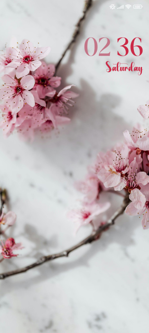 Blossoms preview