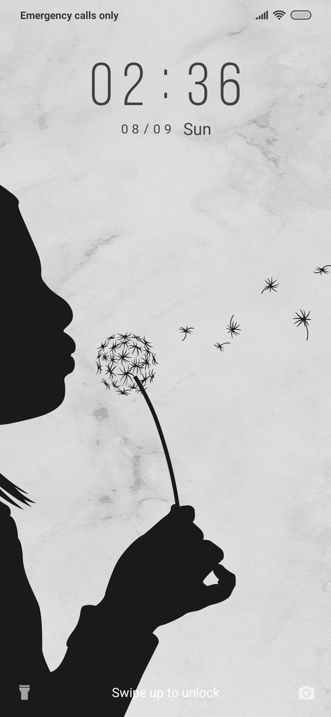 Dandelions - B&W_3MDS preview
