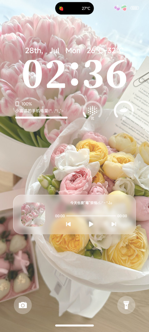 ins夏日草莓粉 preview