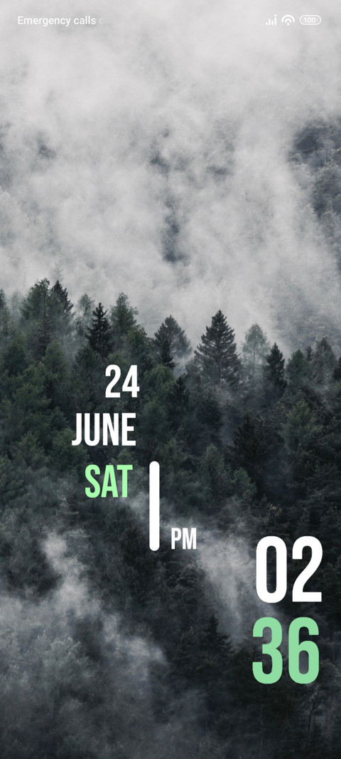 Forest Fog preview