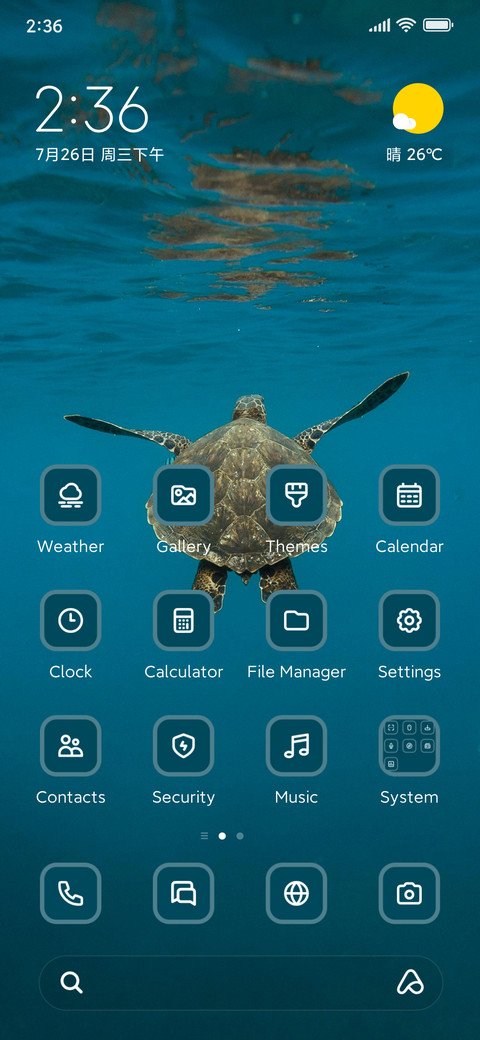 Turtle preview
