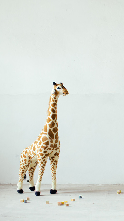 India-giraffe preview