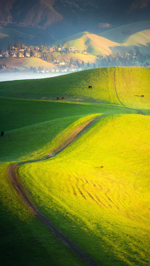 Farmland scenery preview