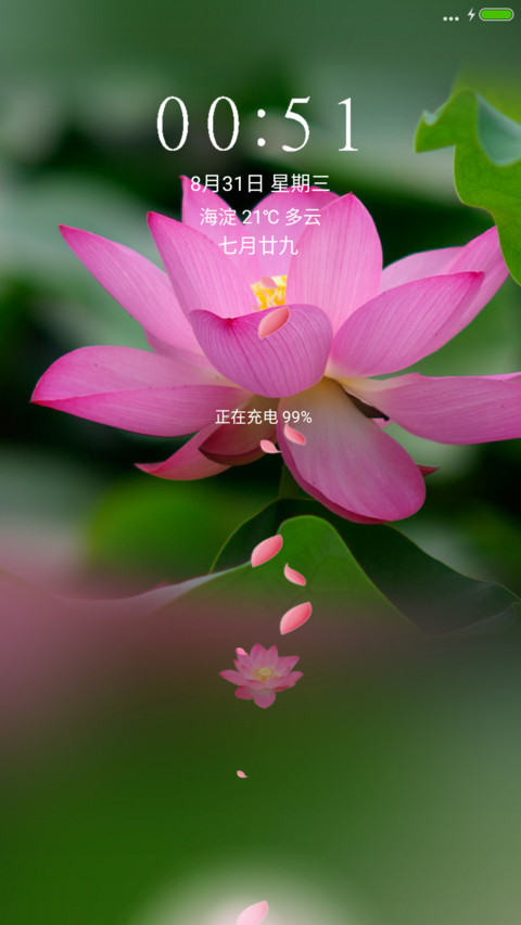 荷花 preview