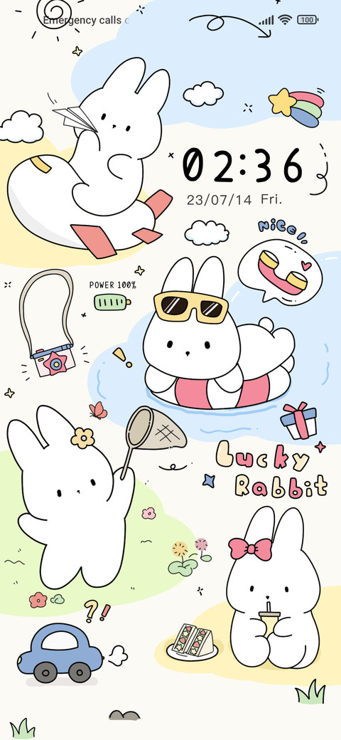 Rabbit LeisureLife preview