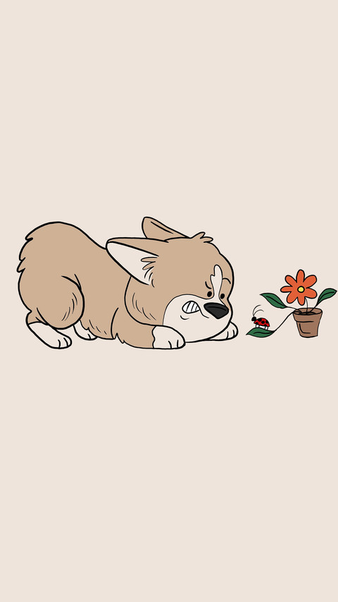 搞笑创意-拍信图库 preview