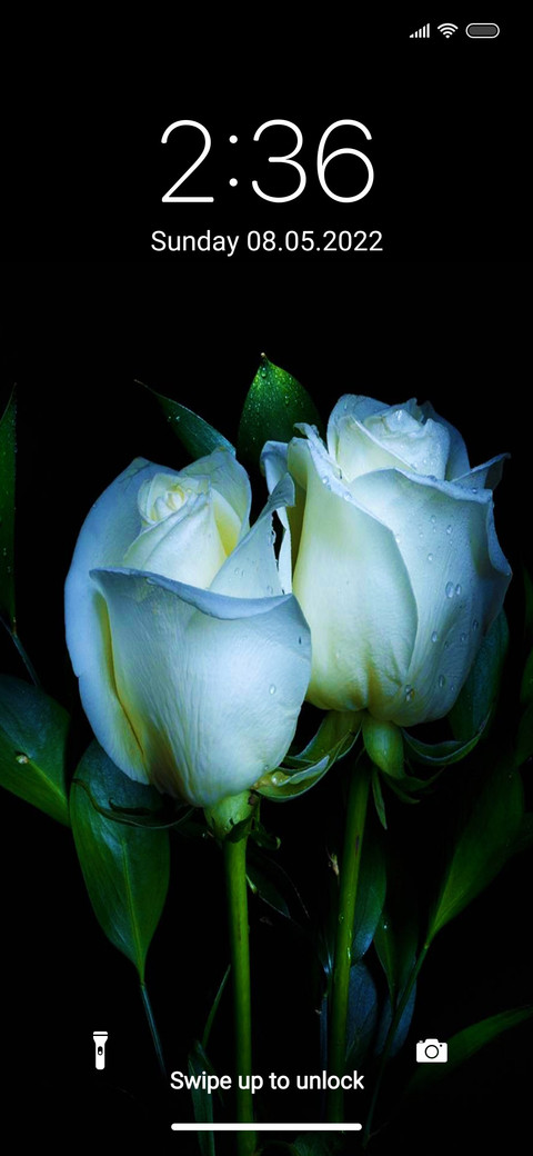Rose view preview