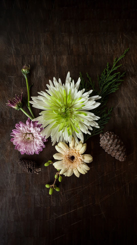 Recommendations for Plants with Blooming Flowers 80 preview