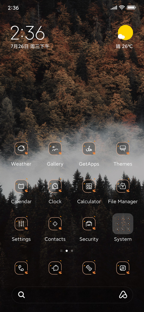 Autumn pine forest preview