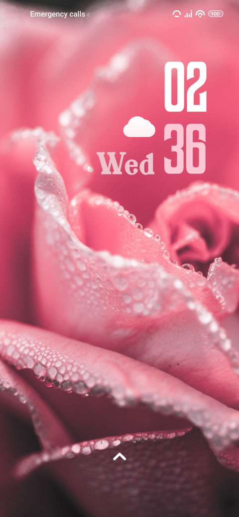 Close Flower preview