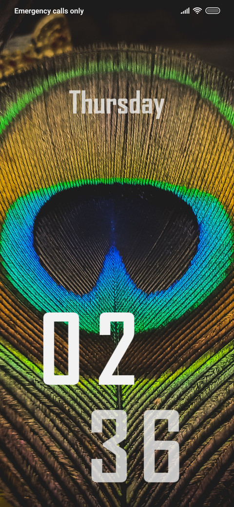 Colour Fans preview