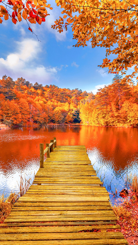 Autumn Landscape in Amazing Nature preview