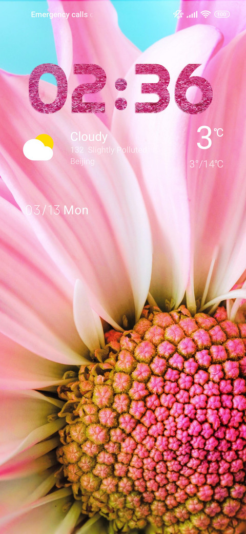 daisy pink preview