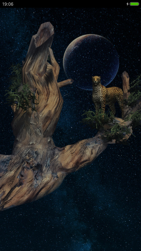 星空猎豹 preview