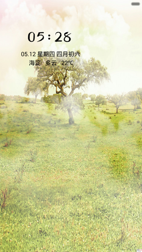 好大一棵树 preview