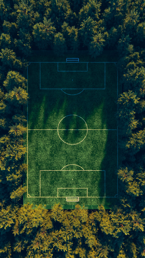 Football field in the middle of the forest top view preview