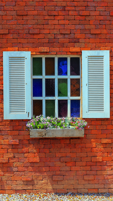 The flowers on the windowsill preview