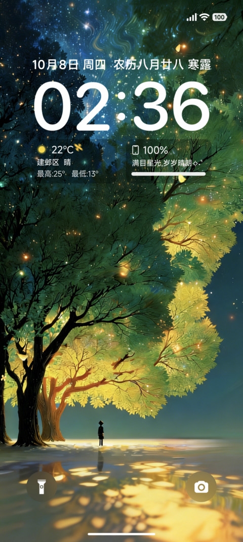 动态夜林星落 preview