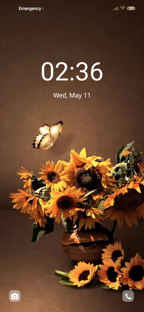 Golden sunflower preview