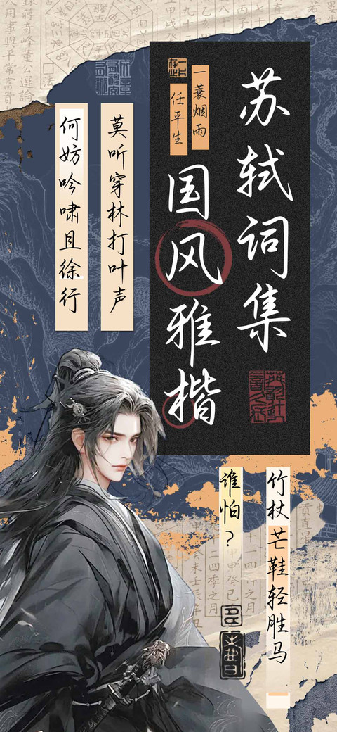 苏轼词集国风雅楷 preview