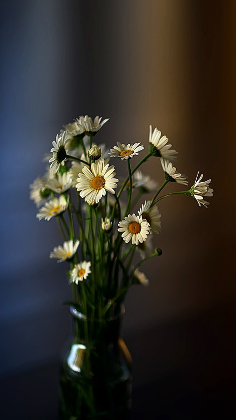 Fresh spring bouquet of wildflowers preview