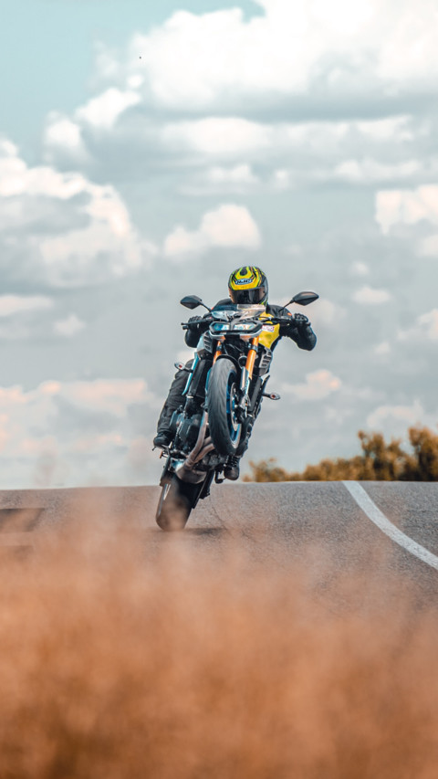 Bikers (8) preview