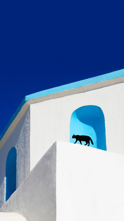 The black cat in the church preview