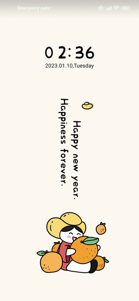 New year little y preview