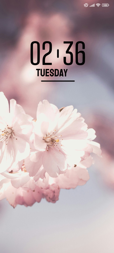 Cherry Blossom preview