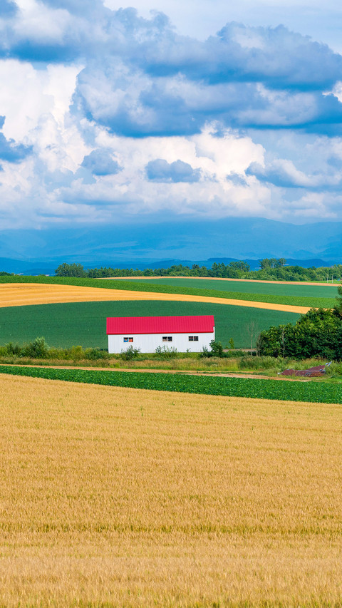 Lonely house in fields , Biei , Hokkaido preview