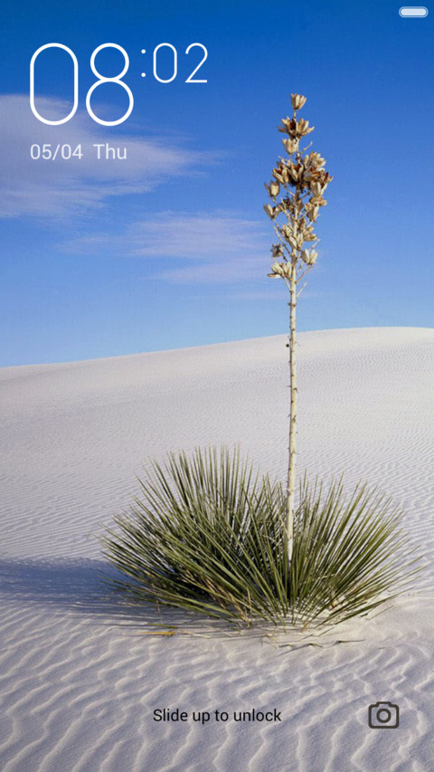 Desert preview