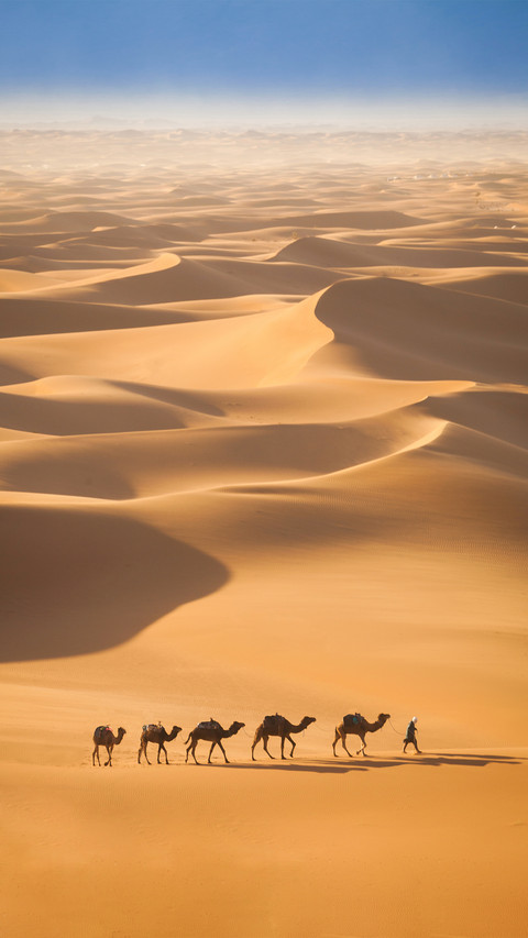Man Leading a Team of Camels Through The Desert preview